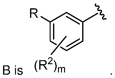 Figure imgf000004_0002