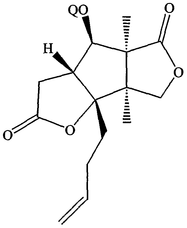 Figure imgf000031_0002