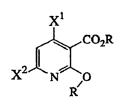 Figure imgb0013