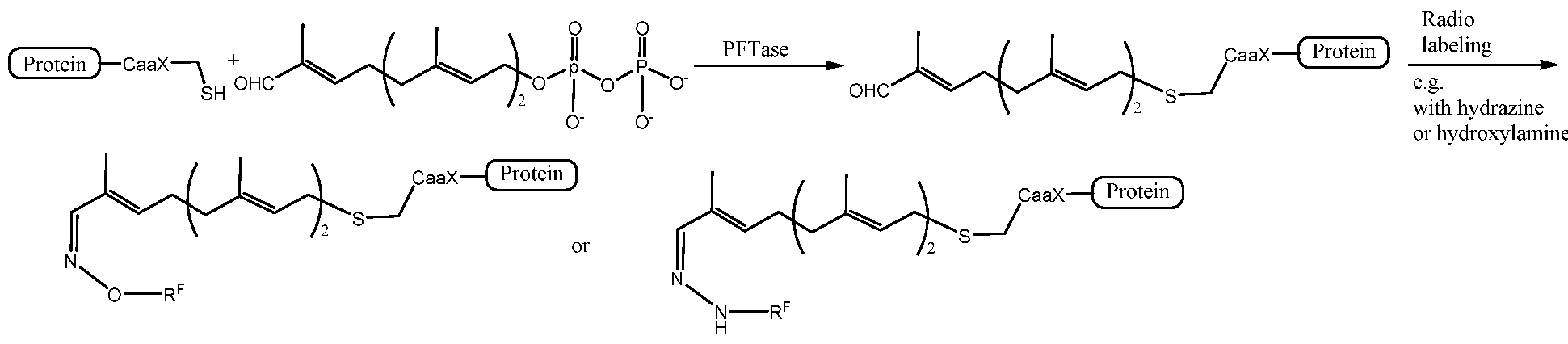 Figure imgf000120_0002