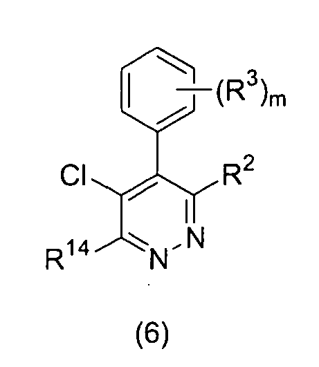 Figure imgb0003