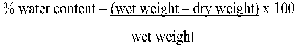 Figure imgb0019