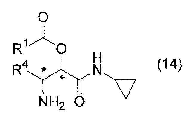 Figure imgb0025