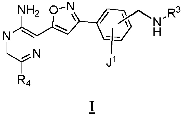Figure imgb0001