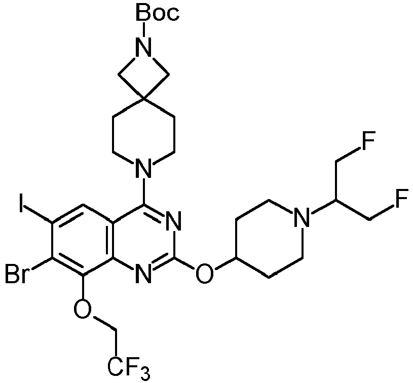 Figure imgb0205