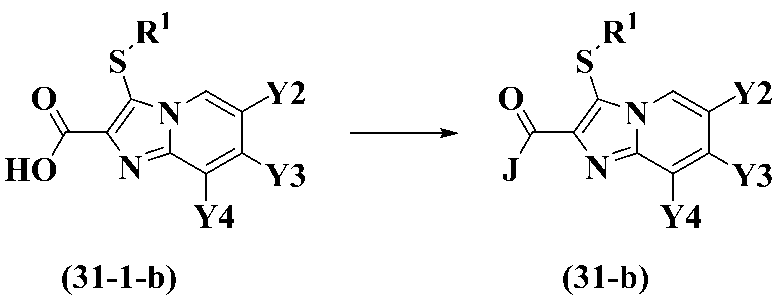 Figure JPOXMLDOC01-appb-C000016