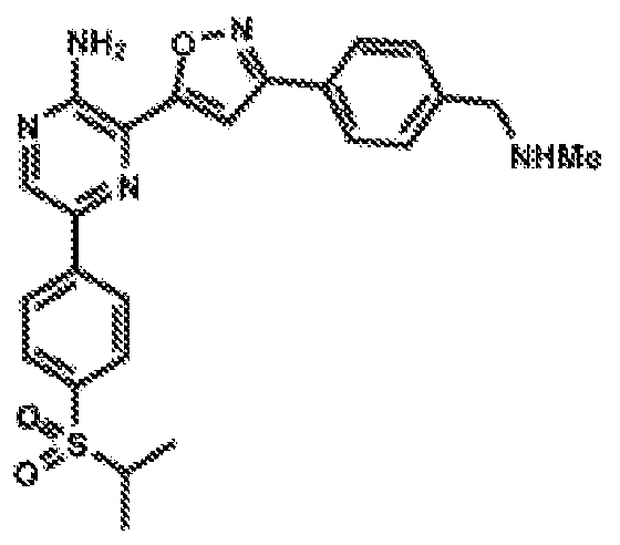 Figure imgf000053_0003