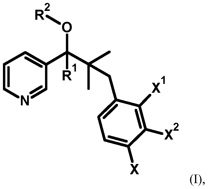Figure imgf000002_0001