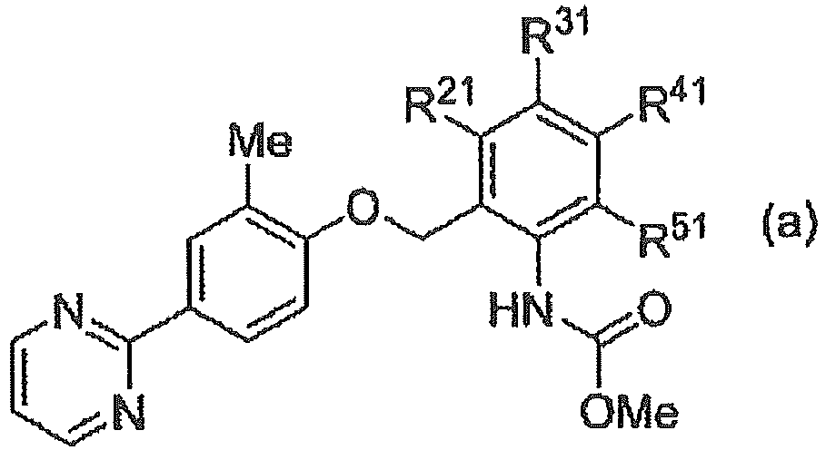 Figure imgb0019