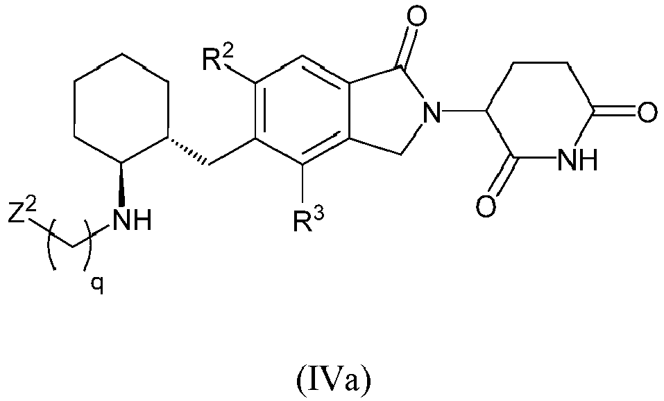 Figure imgb0581