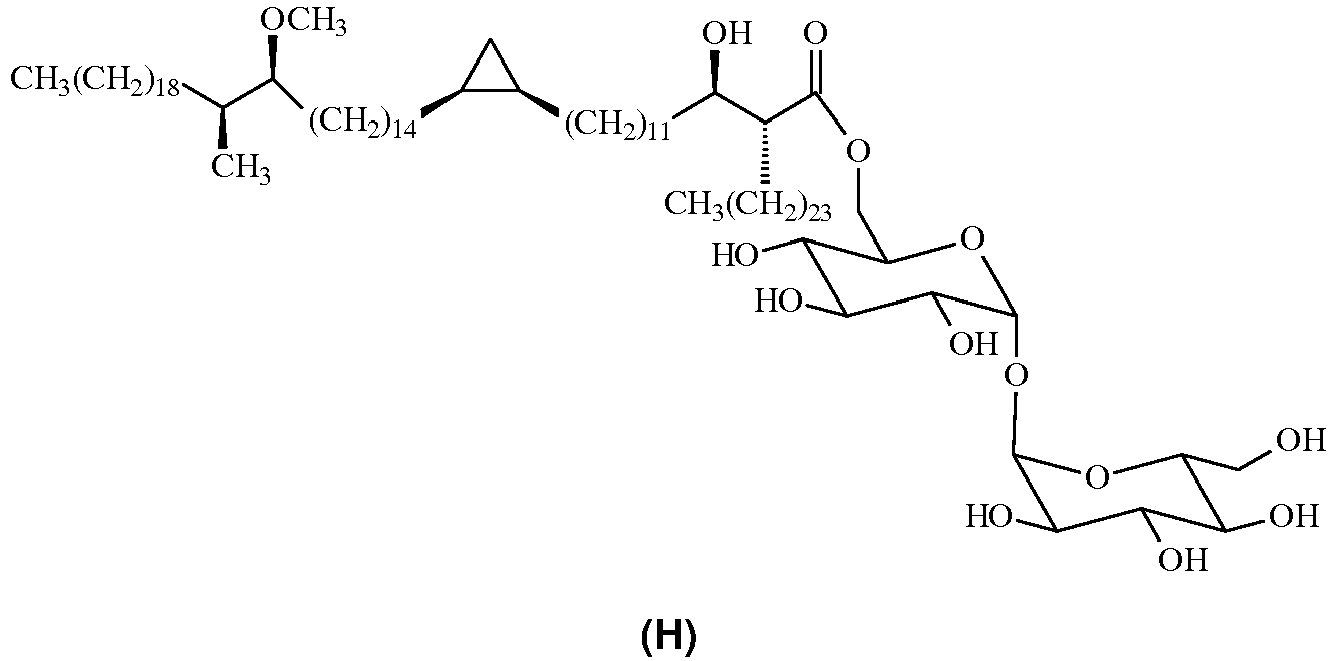 Figure imgb0028