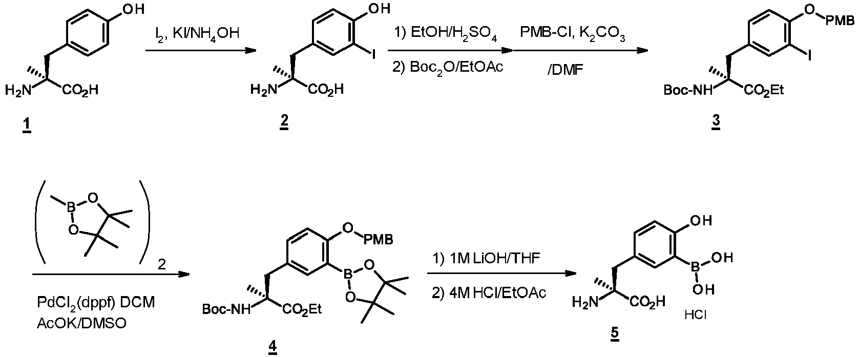 Figure imgb0015