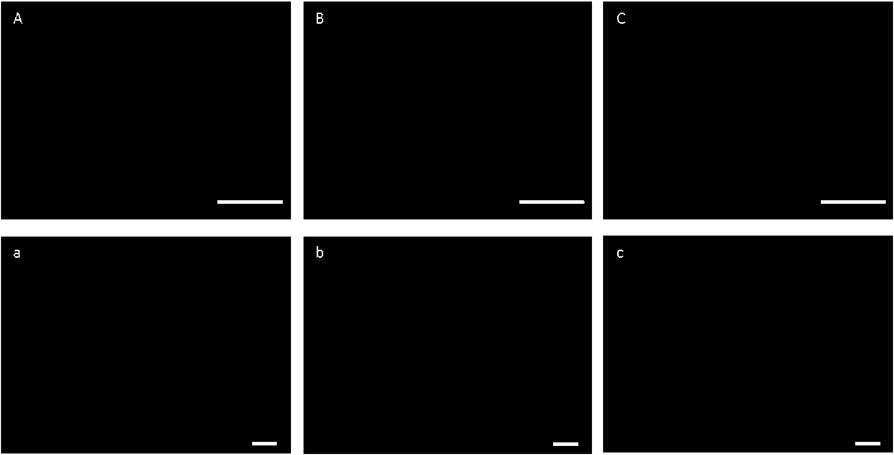 Figure imgf000019_0001