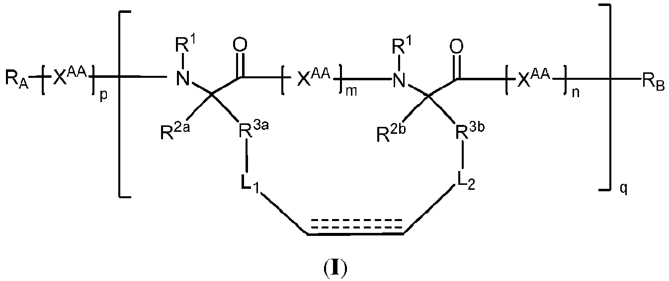 Figure imgb0006