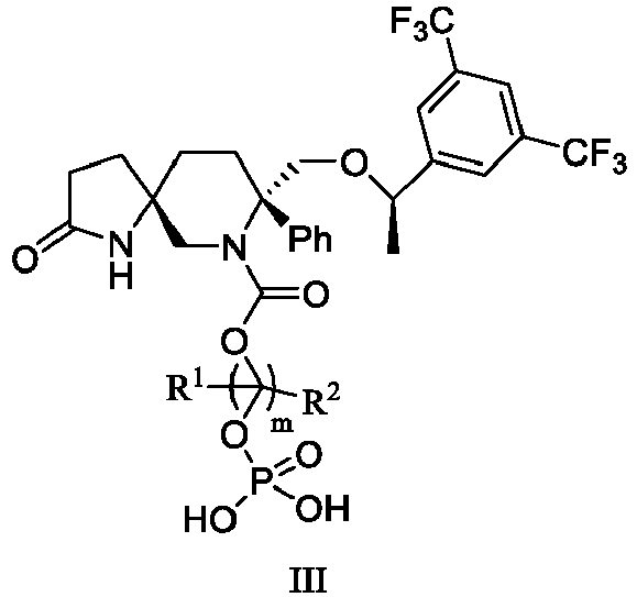 Figure imgb0101