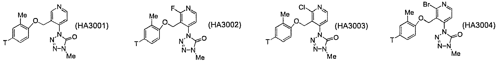 Figure imgb0307