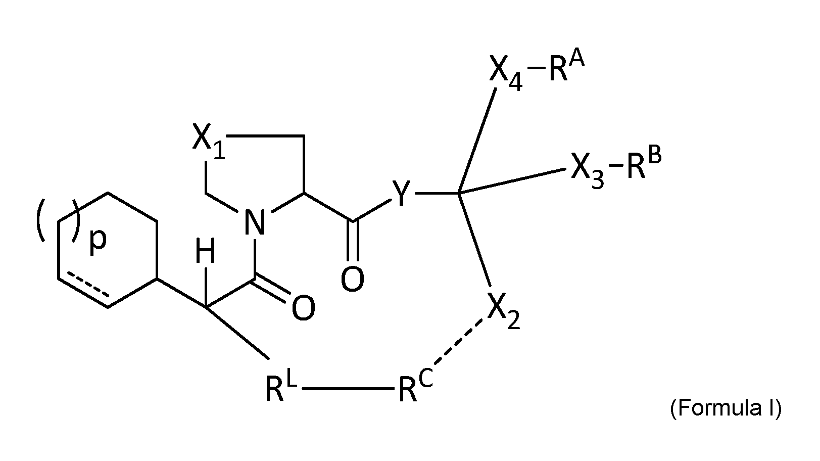 Figure imgf000006_0001