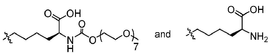 Figure imgb0047