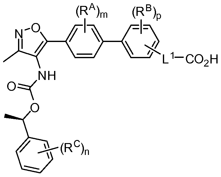 Figure imgf000011_0001