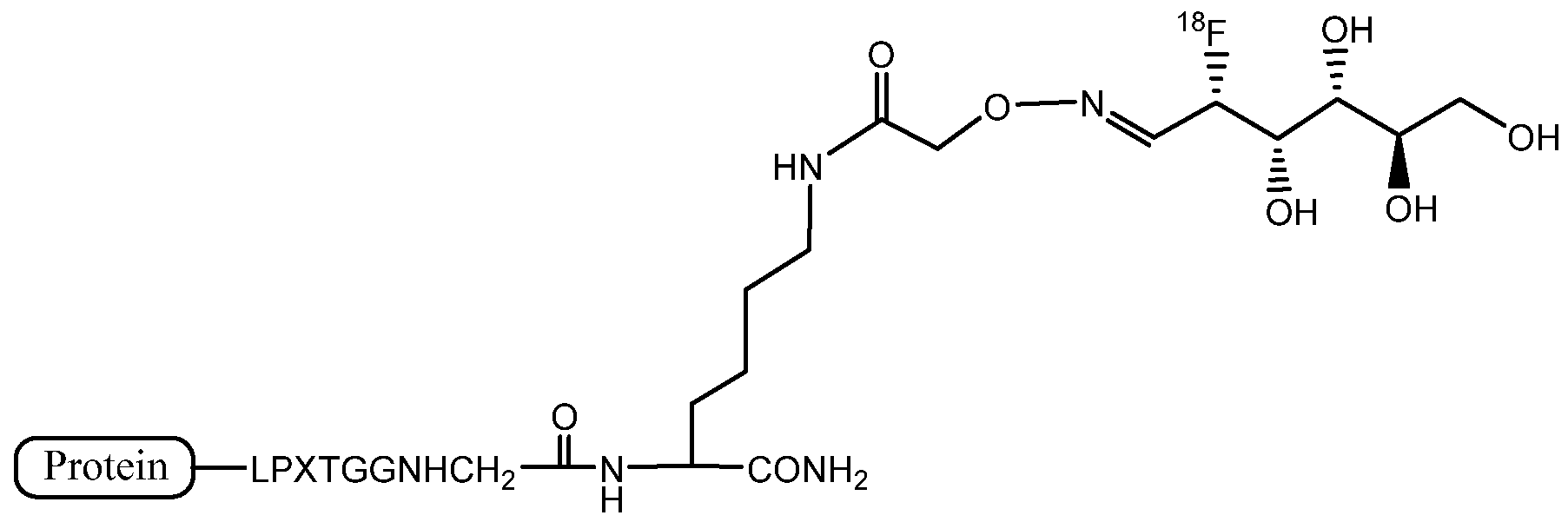 Figure imgf000182_0001