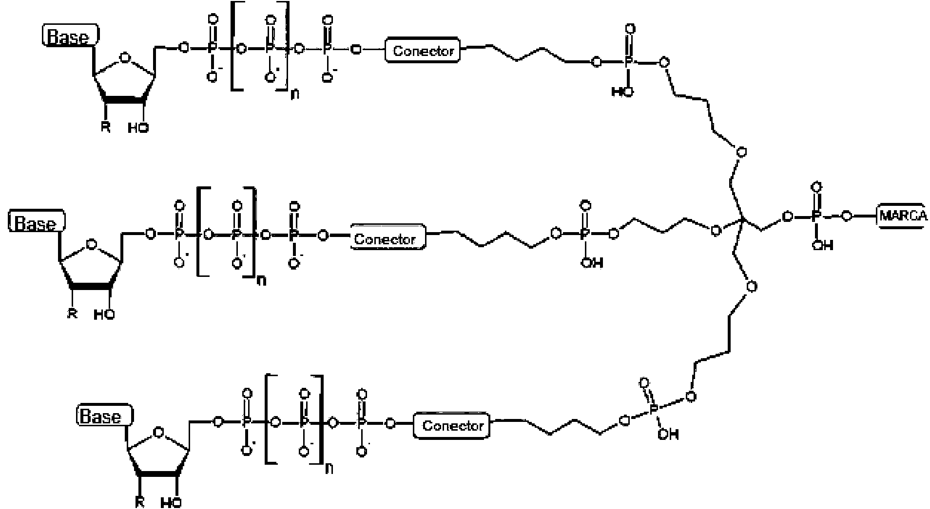 Figure imgf000004_0002