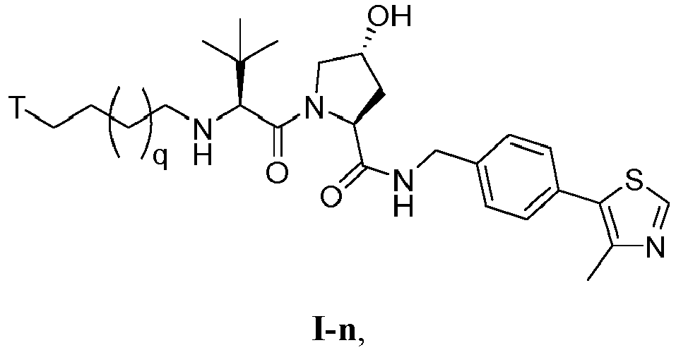 Figure imgb0202