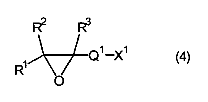 Figure imgb0013
