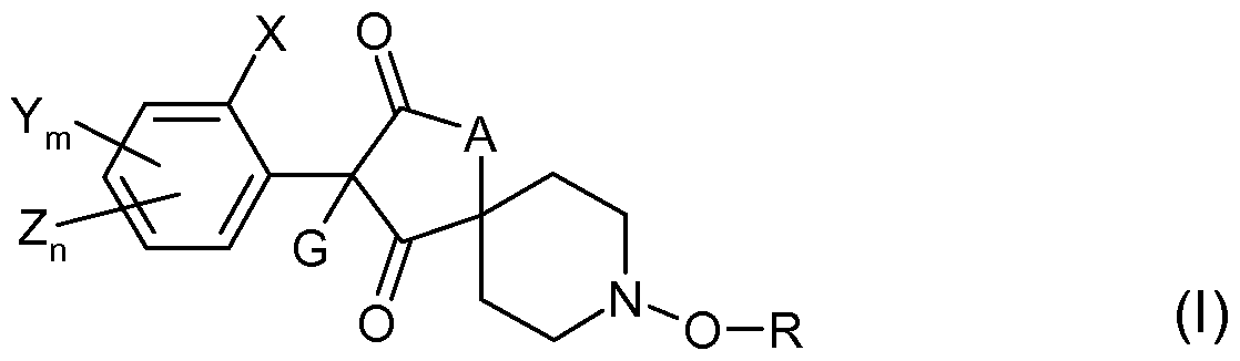 Figure imgf000002_0001