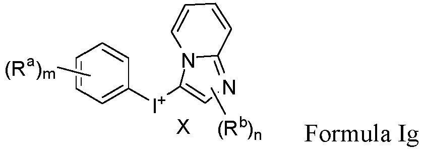 Figure imgb0010