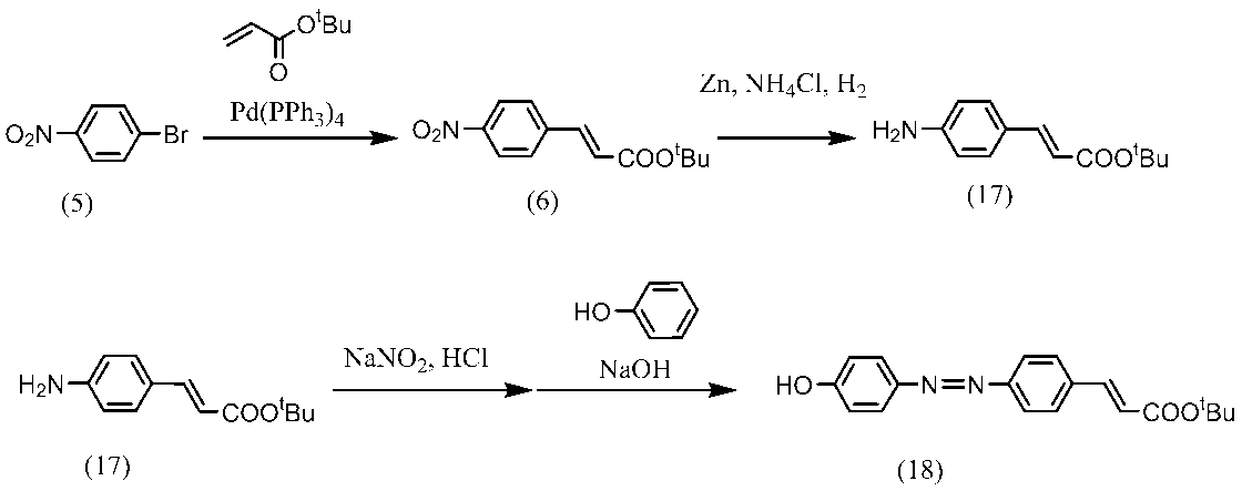 Figure JPOXMLDOC01-appb-C000056
