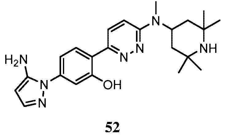 Figure pct00206