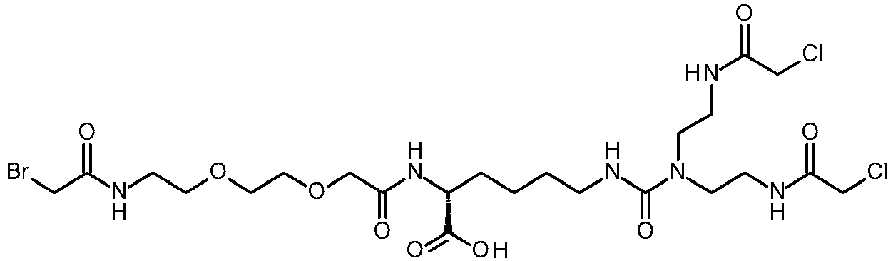 Figure imgb0074
