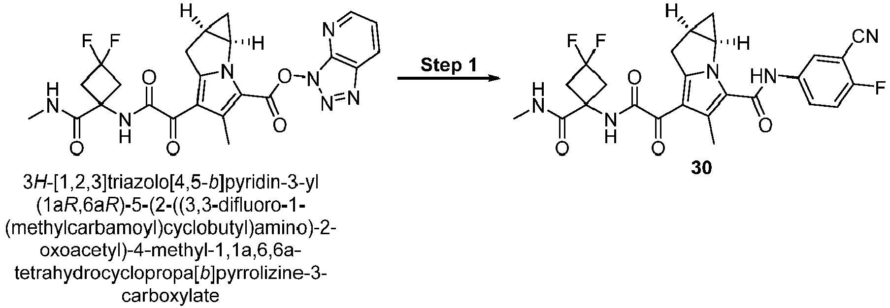 Figure imgb0245