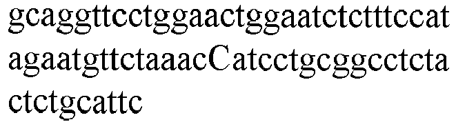 Figure imgb0402