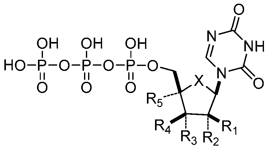 Figure imgf000009_0003