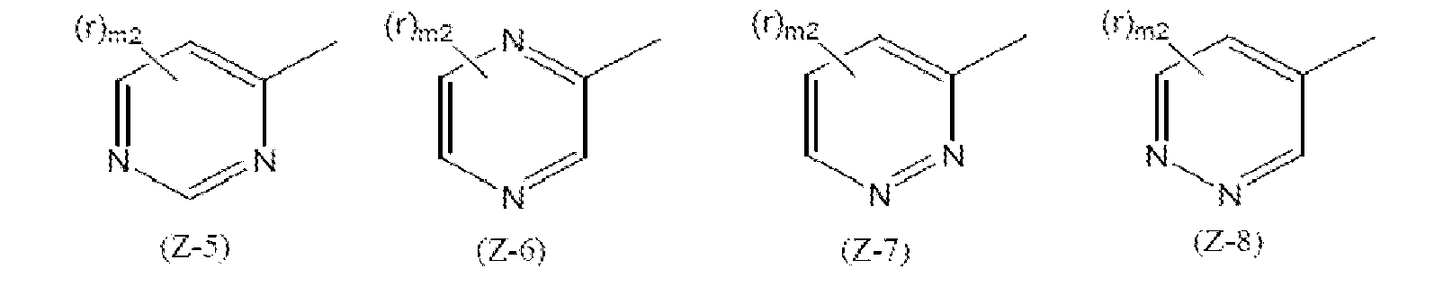 Figure imgb0011