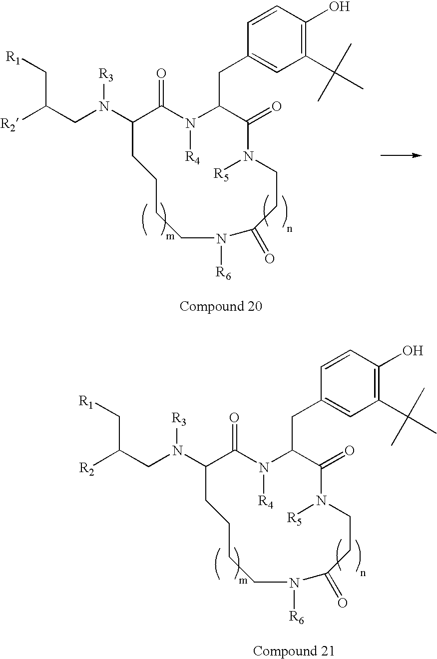 Figure US20030191053A1-20031009-C00010