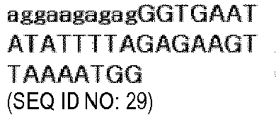 Figure imgb0013
