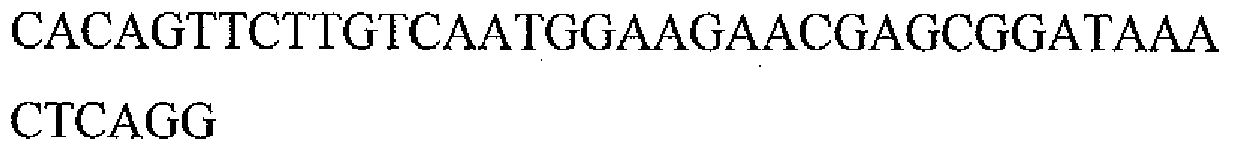 Figure imgb0016