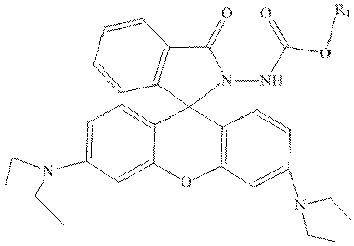 Figure imgf000004_0001