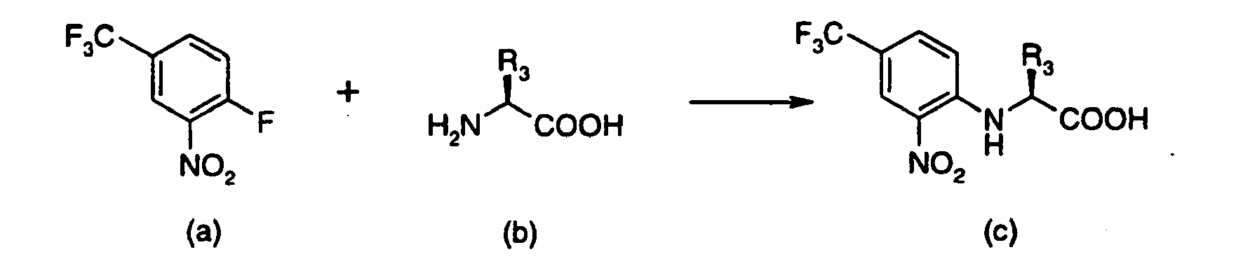 Figure imgb0061