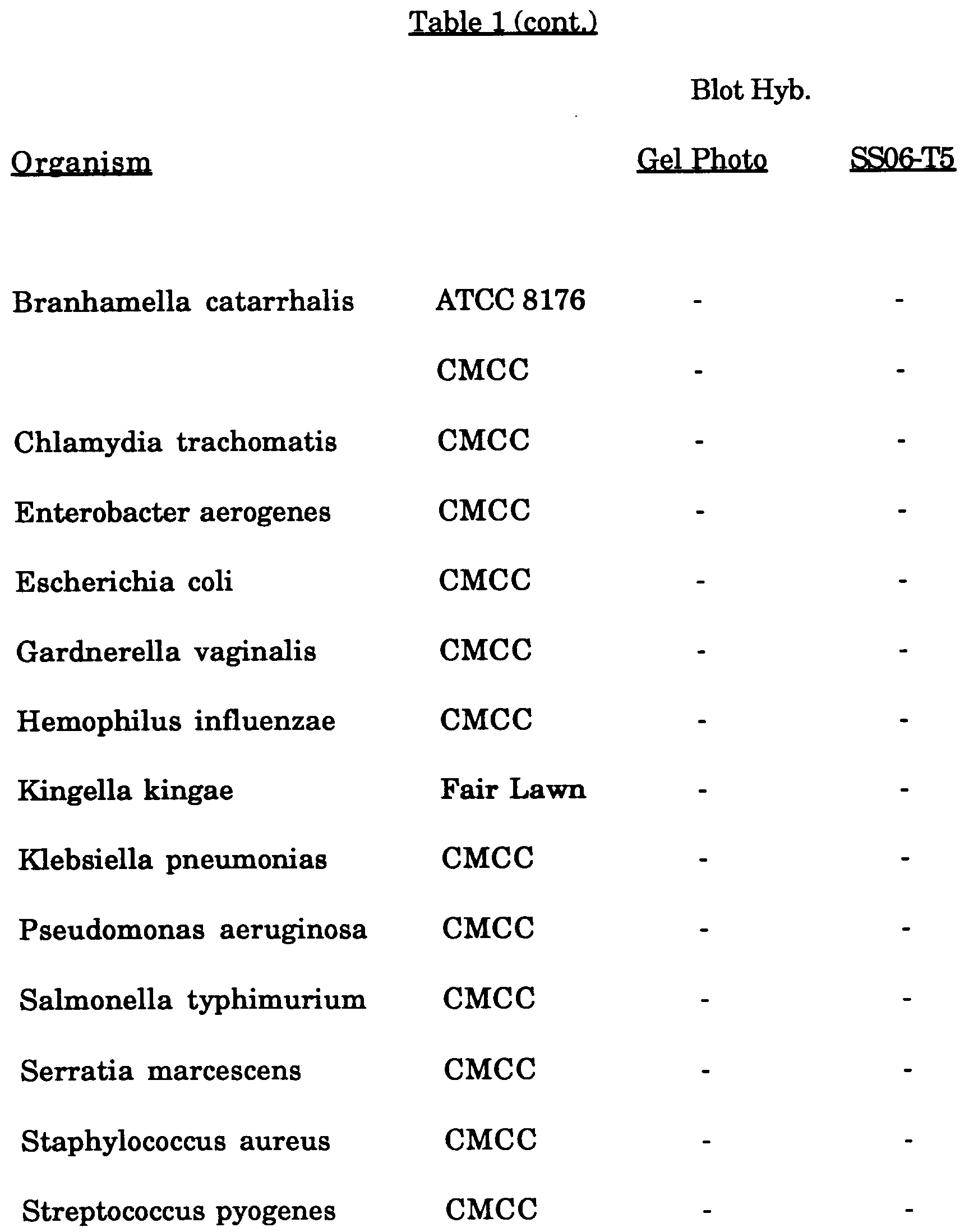What Does Hyb Mean >> What Does N Gonorrhea Amp Probe Mean What Does Hyb Mean >> What Does N Gonorrhea Amp Probe Mean