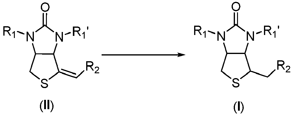 Figure imgb0003
