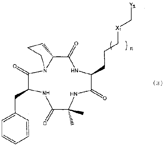 Figure JPOXMLDOC01-appb-C000005