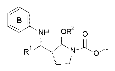 Figure JPOXMLDOC01-appb-C000040