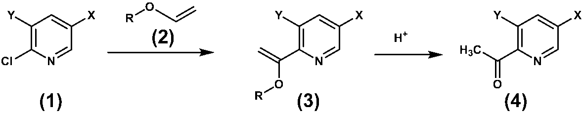 Figure JPOXMLDOC01-appb-C000009