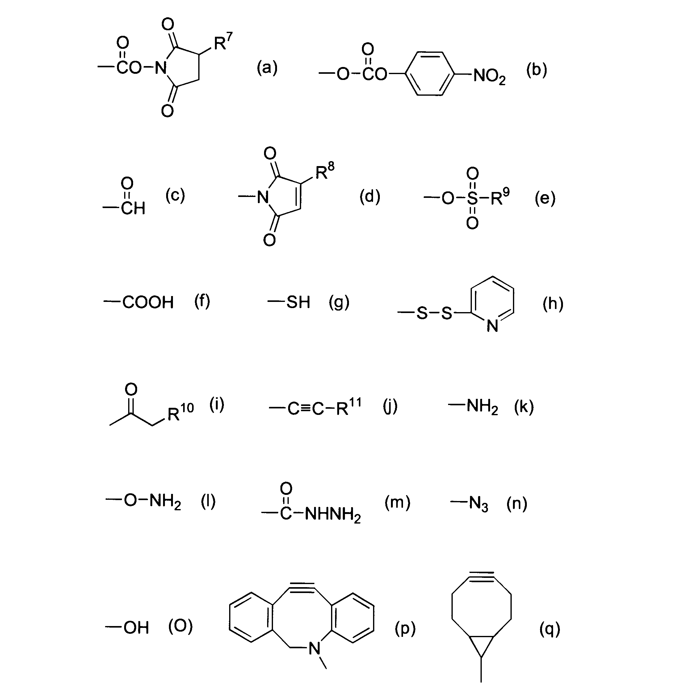Figure JPOXMLDOC01-appb-C000013