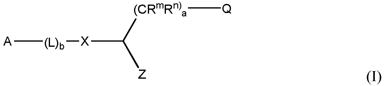 Figure imgb0011