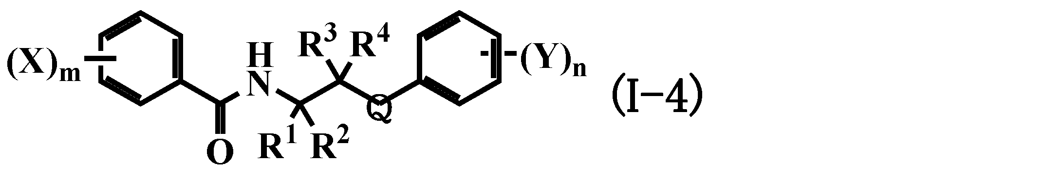Figure JPOXMLDOC01-appb-C000013