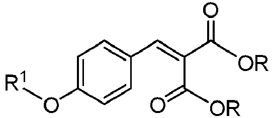 Figure imgb0013